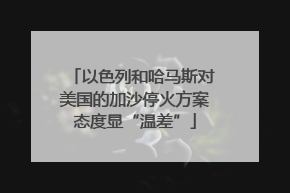 以色列和哈马斯对美国的加沙停火方案态度显“温差”
