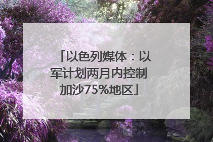 以色列媒体：以军计划两月内控制加沙75%地区