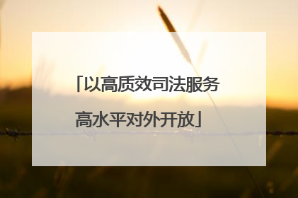 以高质效司法服务高水平对外开放