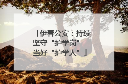 伊春公安：持续坚守“护学岗” 当好“护学人”
