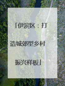 伊滨区：打造城郊型乡村振兴样板