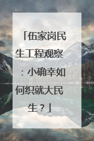 伍家岗民生工程观察：小确幸如何织就大民生？