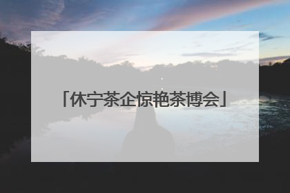 休宁茶企惊艳茶博会