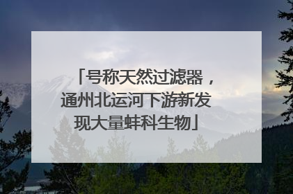 号称天然过滤器，通州北运河下游新发现大量蚌科生物