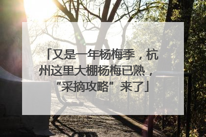 又是一年杨梅季，杭州这里大棚杨梅已熟，“采摘攻略”来了