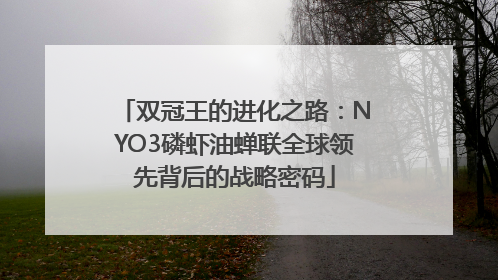 双冠王的进化之路：NYO3磷虾油蝉联全球领先背后的战略密码