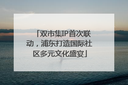 双市集IP首次联动，浦东打造国际社区多元文化盛宴