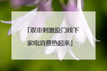 双重刺激厦门线下家电消费热起来