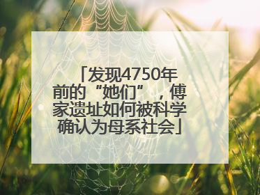 发现4750年前的“她们”，傅家遗址如何被科学确认为母系社会