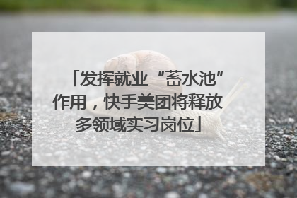 发挥就业“蓄水池”作用，快手美团将释放多领域实习岗位