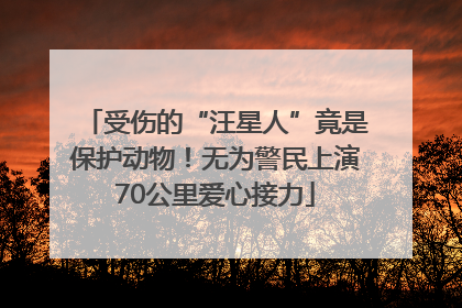 受伤的“汪星人”竟是保护动物！无为警民上演70公里爱心接力