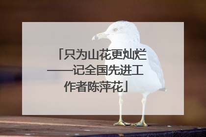只为山花更灿烂——记全国先进工作者陈萍花