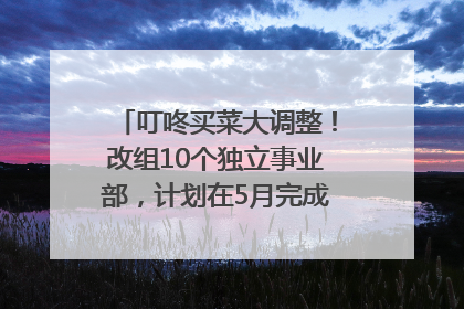 叮咚买菜大调整！改组10个独立事业部，计划在5月完成App端全面改版