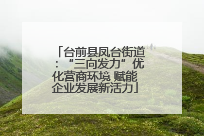 台前县凤台街道：“三向发力”优化营商环境 赋能企业发展新活力