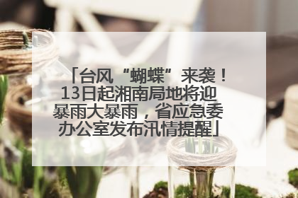 台风“蝴蝶”来袭！13日起湘南局地将迎暴雨大暴雨，省应急委办公室发布汛情提醒