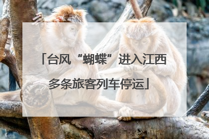 台风“蝴蝶”进入江西 多条旅客列车停运