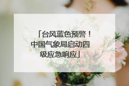 台风蓝色预警！中国气象局启动四级应急响应