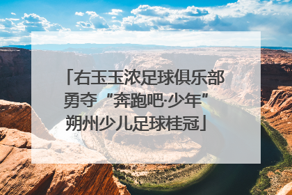 右玉玉浓足球俱乐部勇夺“奔跑吧·少年”朔州少儿足球桂冠