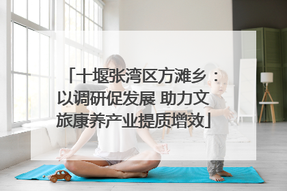 十堰张湾区方滩乡：以调研促发展 助力文旅康养产业提质增效