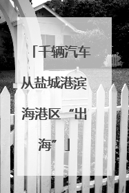 千辆汽车从盐城港滨海港区“出海”
