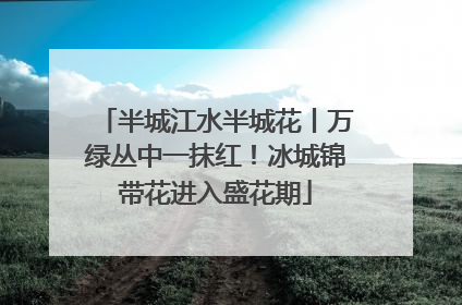 半城江水半城花丨万绿丛中一抹红！冰城锦带花进入盛花期