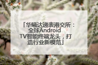 华曦达递表港交所：全球Android TV智能终端龙头，打造行业新模范