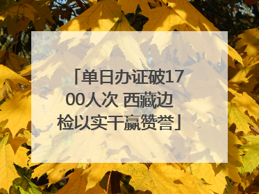 单日办证破1700人次 西藏边检以实干赢赞誉
