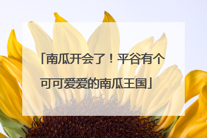 南瓜开会了！平谷有个可可爱爱的南瓜王国