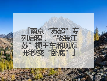 南京“苏超”专列启程，“散装江苏”梗王车厢现原形秒变“卧底”