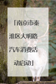 南京市秦淮区大明路汽车消费活动启动