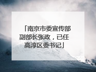 南京市委宣传部副部长张政，已任高淳区委书记