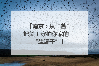 南京：从“盐”把关！守护你家的“盐罐子”