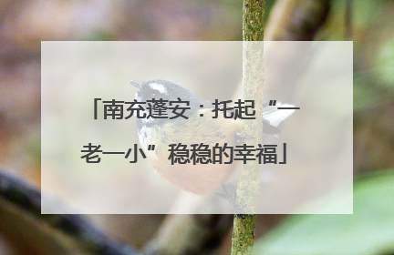 南充蓬安：托起“一老一小”稳稳的幸福