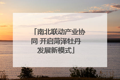 南北联动产业协同 开启菏泽牡丹发展新模式