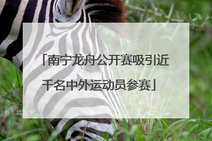 南宁龙舟公开赛吸引近千名中外运动员参赛