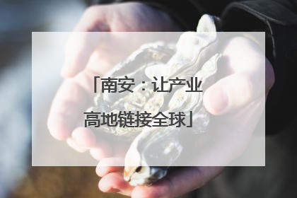 南安：让产业高地链接全球