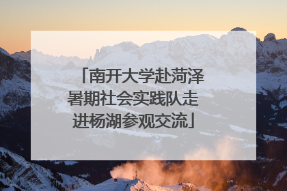 南开大学赴菏泽暑期社会实践队走进杨湖参观交流