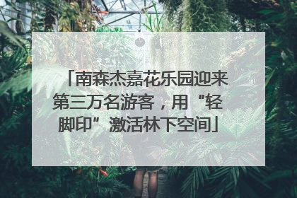 南森杰嘉花乐园迎来第三万名游客，用“轻脚印”激活林下空间