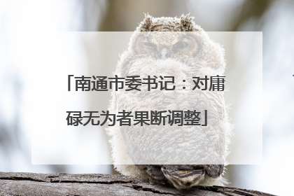 南通市委书记：对庸碌无为者果断调整