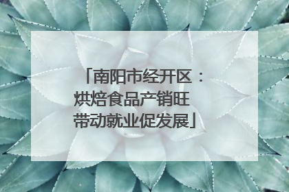 南阳市经开区：烘焙食品产销旺 带动就业促发展