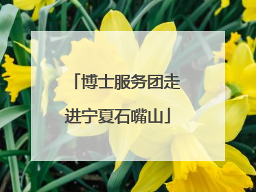 博士服务团走进宁夏石嘴山