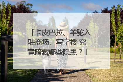 卡皮巴拉、羊驼入驻商场、写字楼 究竟暗藏哪些隐患？