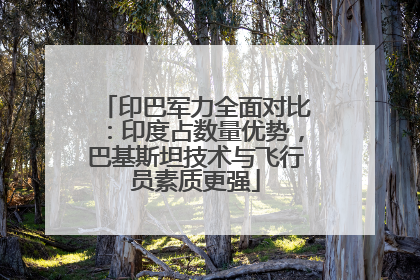 印巴军力全面对比：印度占数量优势，巴基斯坦技术与飞行员素质更强