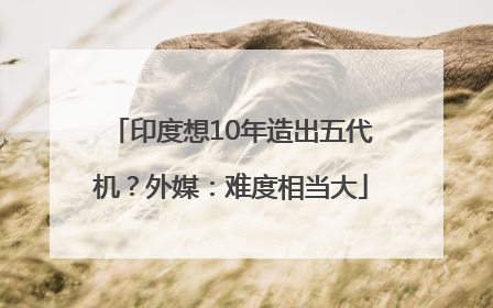 印度想10年造出五代机？外媒：难度相当大