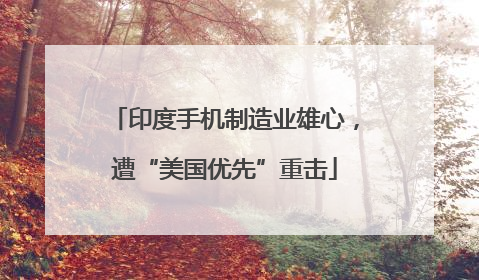 印度手机制造业雄心，遭“美国优先”重击