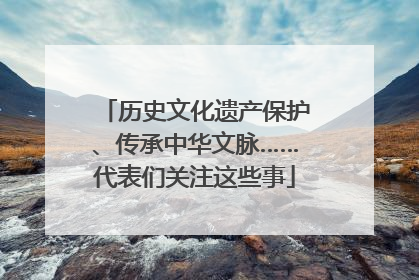 历史文化遗产保护、传承中华文脉……代表们关注这些事