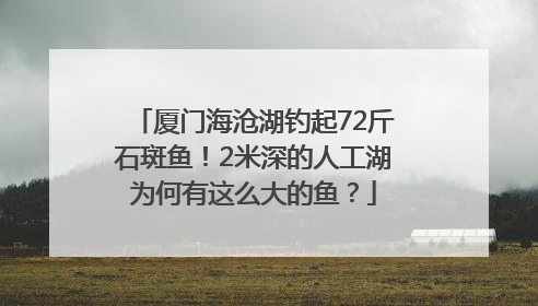 厦门海沧湖钓起72斤石斑鱼！2米深的人工湖为何有这么大的鱼？
