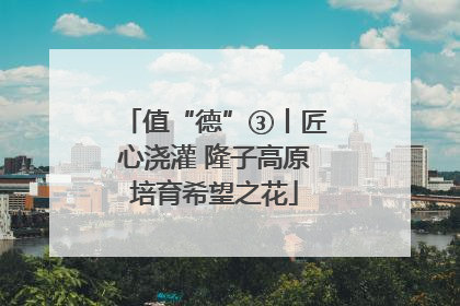 值“德”③丨匠心浇灌 隆子高原培育希望之花