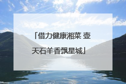 借力健康湘菜 壶天石羊香飘星城