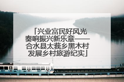 兴业富民好风光 奏响振兴新乐章——合水县太莪乡黑木村发展乡村旅游纪实